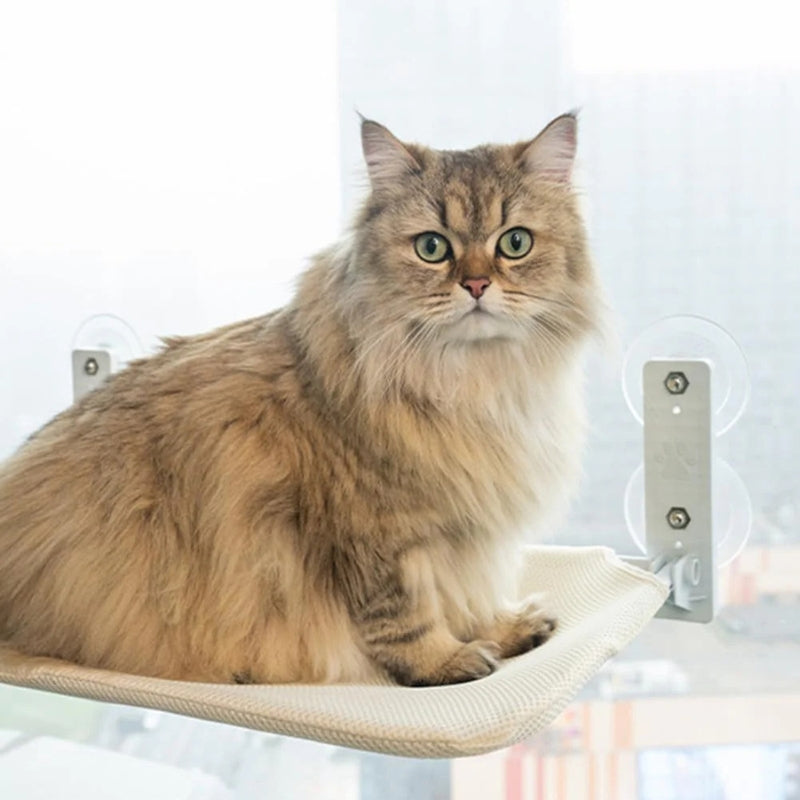 KatNap™