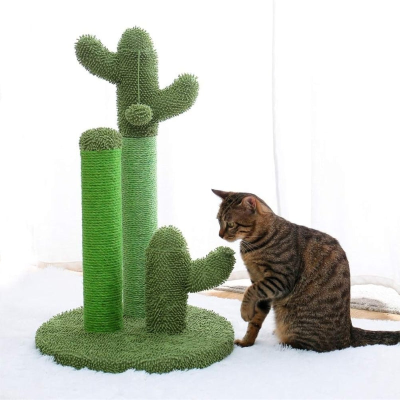 Scratching Cactus ™