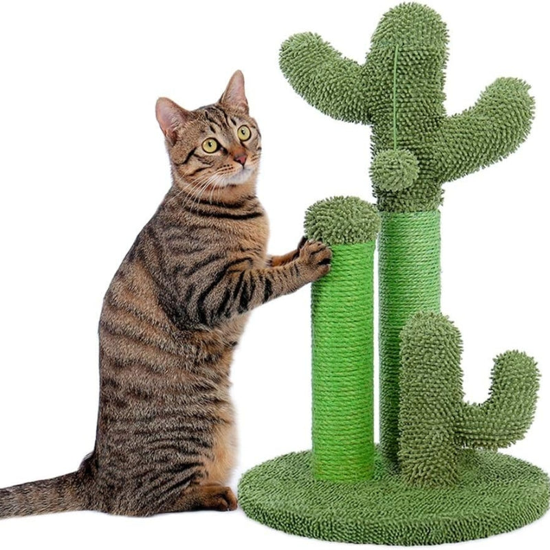 Scratching Cactus ™