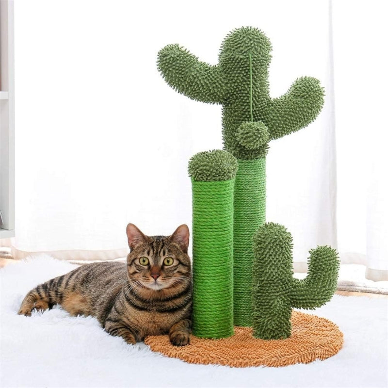 Scratching Cactus ™